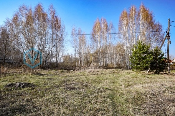
  Продам  участок ИЖС, 12 соток, Ракитинка (Морозовского с/п)

. Фото 9.