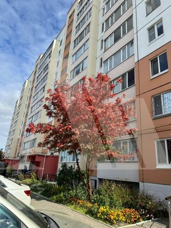 
   Продам 1-комнатную, 34 м², Батумская ул, 40/1

. Фото 8.