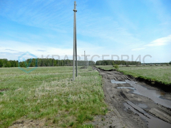 
  Продается земельный участок, 10 соток, село Красноярка
. Фото 2.