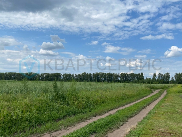 
  Продается земельный участок, 10 соток, микрорайон Омский
. Фото 3.