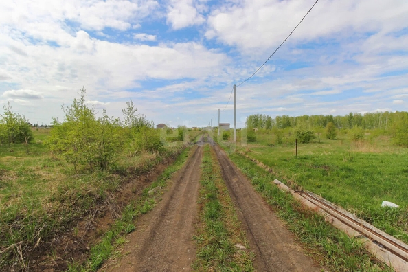 
  Продается земельный участок, 8 соток, село Ребровка
. Фото 5.