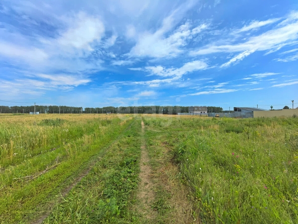 
  Продается земельный участок, 10 соток, село Усть-Заостровка
. Фото 5.