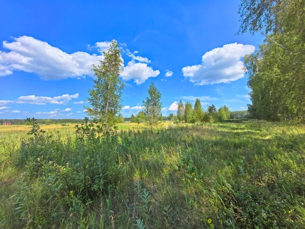 
  Продается земельный участок, 13 соток, село Усть-Заостровка
. Фото 3.