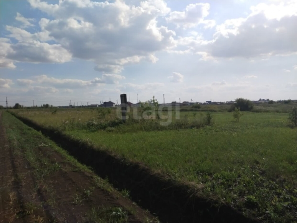 
  Продается земельный участок, 120 соток, село Ребровка
. Фото 2.