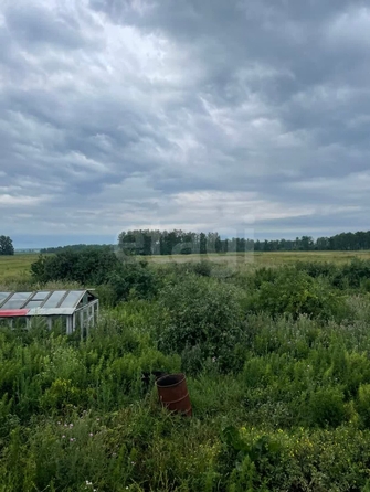 
  Продается земельный участок, 20 соток, село Любино-Малороссы
. Фото 3.