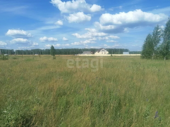 
  Продается земельный участок, 12.26 соток, село Усть-Заостровка
. Фото 1.