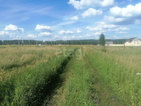 
  Продается земельный участок, 12.26 соток, село Усть-Заостровка
. Фото 3.