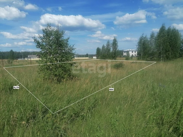 
  Продается земельный участок, 12.26 соток, село Усть-Заостровка
. Фото 4.