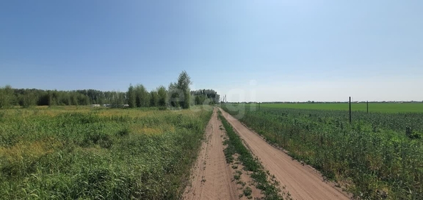 
  Продается земельный участок, 10 соток, село Усть-Заостровка
. Фото 4.