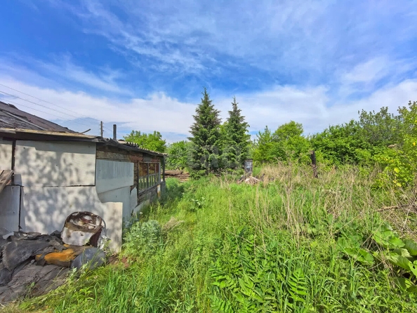 
  Продается земельный участок, 15 соток, село Новомосковка
. Фото 2.