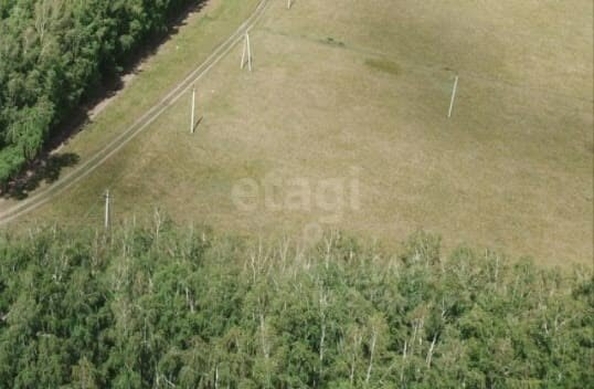 
  Продается земельный участок, 1294 сотки, село Усть-Заостровка
. Фото 3.