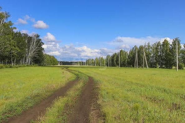 
  Продается земельный участок, 405.63 соток, село Красная Горка
. Фото 4.