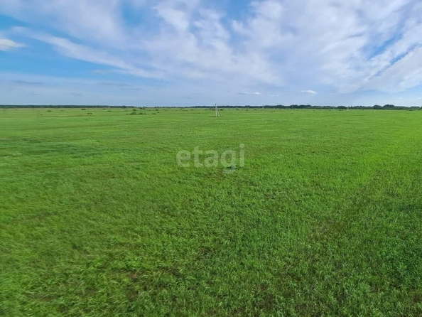 
  Продается земельный участок, 12.9 соток, село Красноярка
. Фото 2.