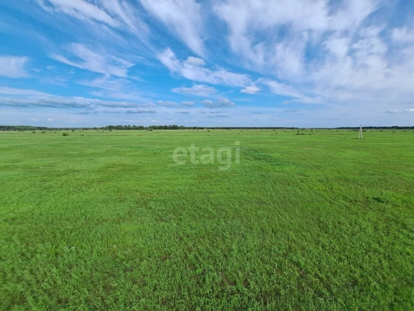 
  Продается земельный участок, 12.9 соток, село Красноярка
. Фото 4.