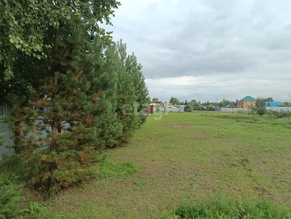 
  Продается земельный участок, 16.3 соток, деревня Ростовка
. Фото 1.