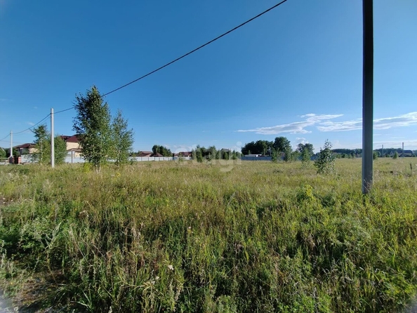 
  Продается земельный участок, 16.2 соток, село Красноярка
. Фото 3.