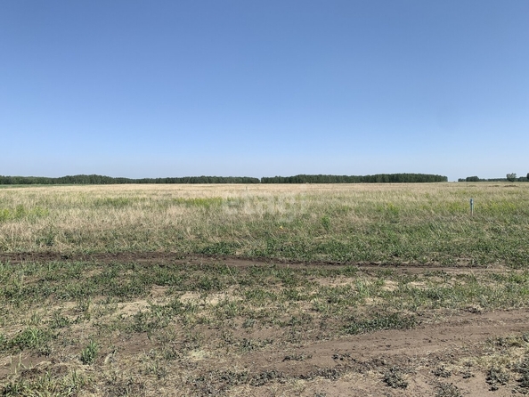
  Продается земельный участок, 10.5 соток, село Усть-Заостровка
. Фото 2.