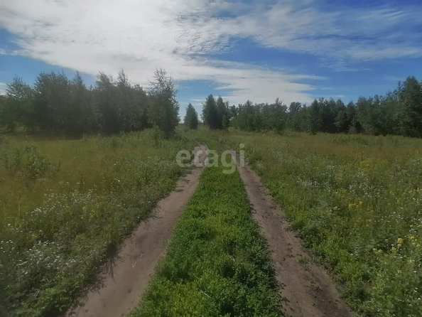 
  Продается земельный участок, 10 соток, село Усть-Заостровка
. Фото 1.