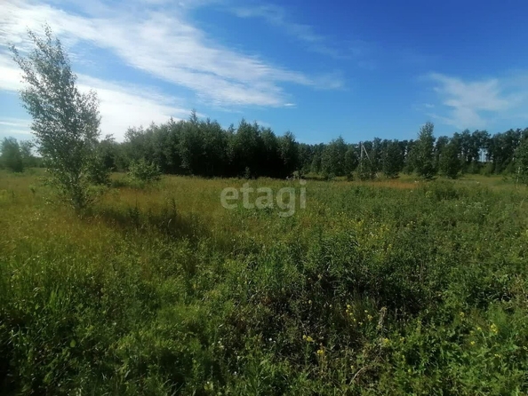 
  Продается земельный участок, 10 соток, село Усть-Заостровка
. Фото 2.