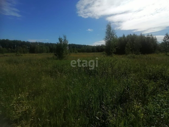 
  Продается земельный участок, 10 соток, село Усть-Заостровка
. Фото 3.