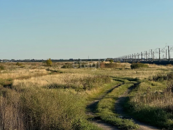 
  Продается земельный участок, 1166 соток, село Троицкое
. Фото 3.