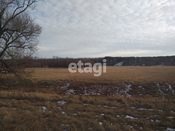 
  Продается земельный участок, 50 соток, село Красноярка
. Фото 1.