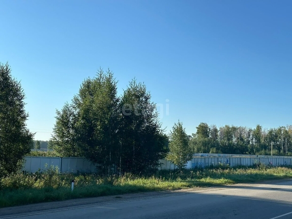 
  Продается земельный участок, 184.3 сотки, село Азово
. Фото 3.