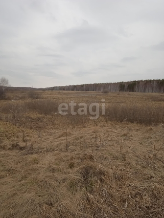 
  Продается земельный участок, 285.5 соток, деревня Покровка
. Фото 1.
