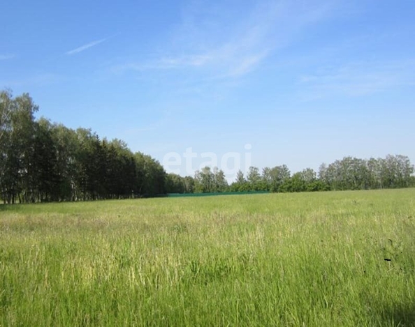 
  Продается земельный участок, 12 соток, село Красноярка
. Фото 2.