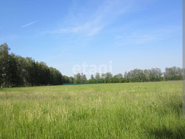 
  Продается земельный участок, 12 соток, село Красноярка
. Фото 3.