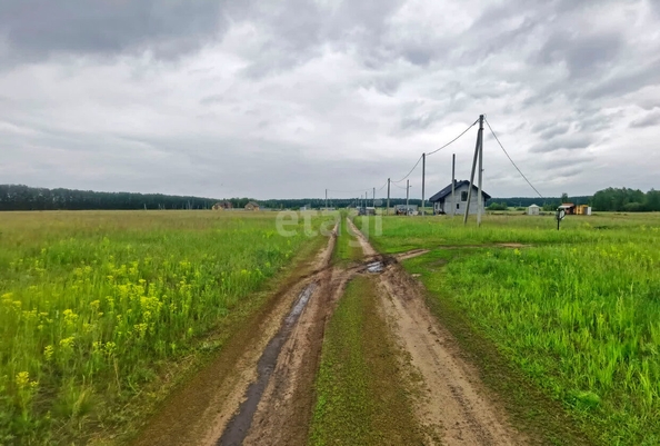 
  Продается земельный участок, 15 соток, село Усть-Заостровка
. Фото 2.