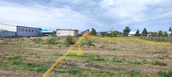 
  Продается земельный участок, 15 соток, село Азово
. Фото 4.