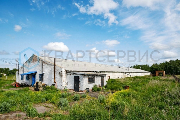 
  Продается производственное помещение, 1625 м², 60 лет ВЛКСМ ул, д. 2/17
. Фото 5.
