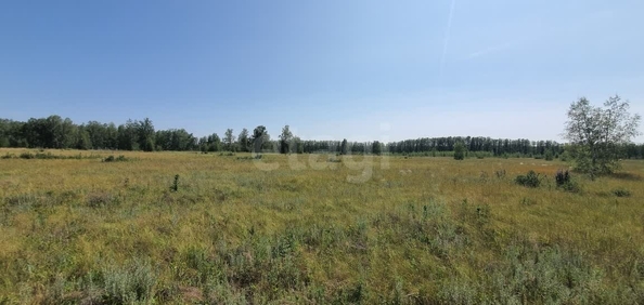 
  Продается земельный участок, 9.65 соток, село Усть-Заостровка
. Фото 1.