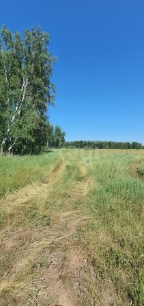 
  Продается земельный участок, 9.65 соток, село Усть-Заостровка
. Фото 2.