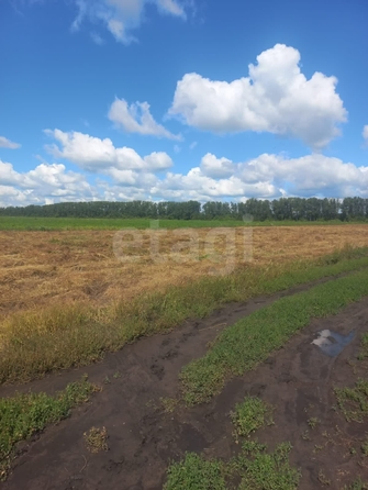 
  Продается земельный участок, 180 соток, микрорайон Омский
. Фото 3.