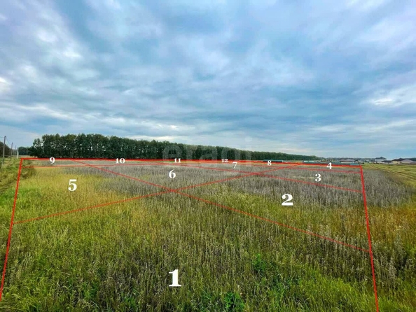 
  Продается земельный участок, 11.2 соток, село Усть-Заостровка
. Фото 4.