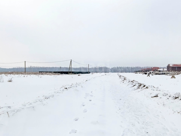 
  Продается земельный участок, 10 соток, деревня Пушкино
. Фото 3.