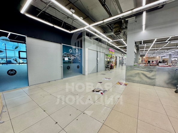 
  Сдается торговая площадь 910 м². Фото 23.