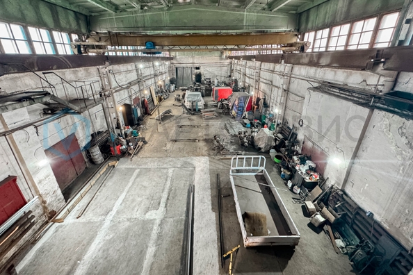 
  Сдается универсальное помещение 1000 м². Фото 4.