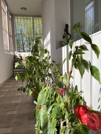 
  Продается 3-комн. квартира 118 м². Фото 20.