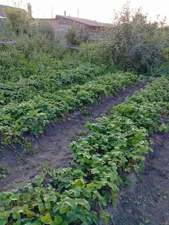 
  Продается дом 101 м². Фото 29.