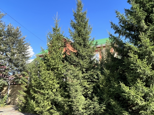 
  Продается дом 260 м², в КП Долина нищих. Фото 39.