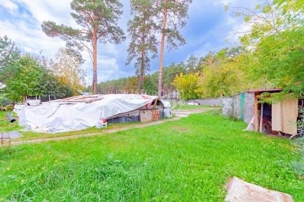 
   Продам дом, 34 м², Тимирязевское

. Фото 6.