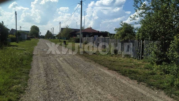 
  Продам  дачный участок, 12.3 соток, Казанка

. Фото 2.