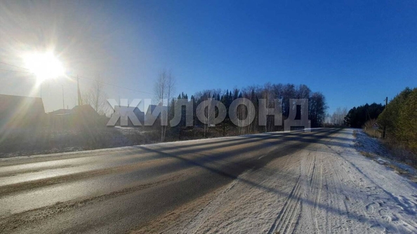 
  Продам  дачный участок, 15 соток, Казанка

. Фото 4.