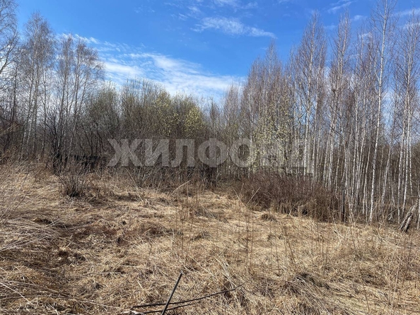 
  Продам  дачный участок, 6 соток, Томск

. Фото 4.