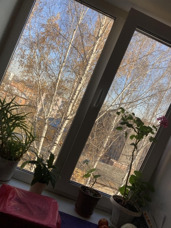 
  Продается 2-комн. квартира, 45 м², Карла Маркса ул, д. 77
. Фото 8.