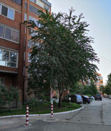 
  Продается 3-комн. квартира, 110 м², Тихий пер, д. 28
. Фото 18.