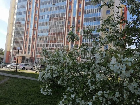 
  Продается 3-комн. квартира, 84.4 м², Герасименко ул, д. 1/17
. Фото 20.